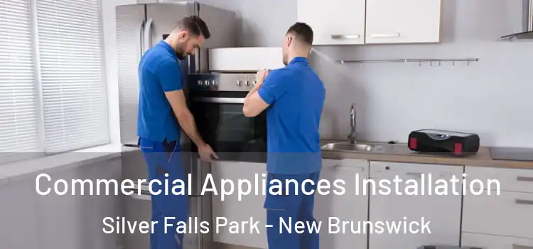 Commercial Appliances Installation Silver Falls Park - New Brunswick