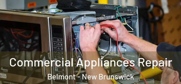 Commercial Appliances Repair Belmont - New Brunswick
