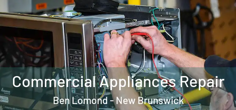 Commercial Appliances Repair Ben Lomond - New Brunswick