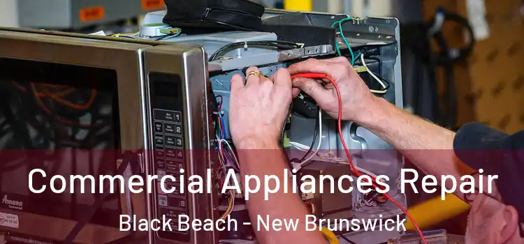 Commercial Appliances Repair Black Beach - New Brunswick