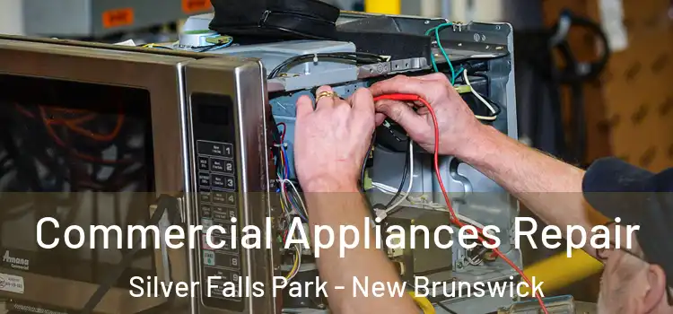 Commercial Appliances Repair Silver Falls Park - New Brunswick