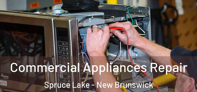 Commercial Appliances Repair Spruce Lake - New Brunswick