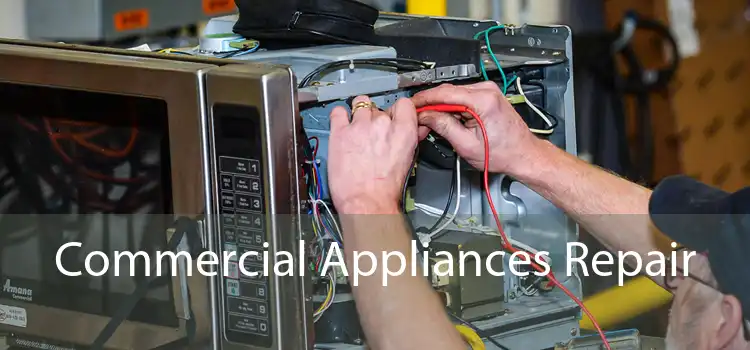 Commercial Appliances Repair 