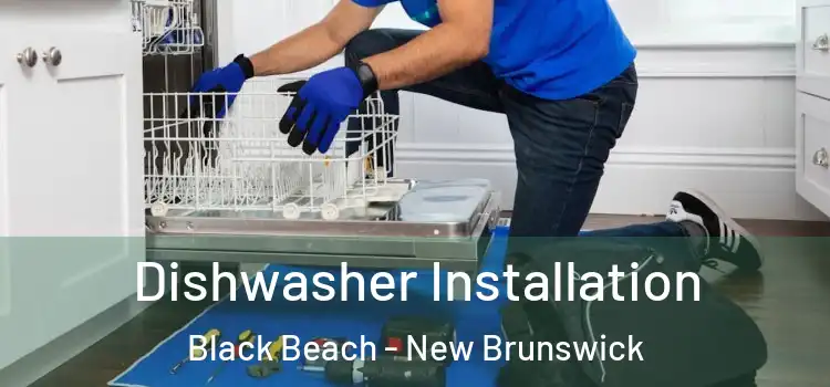 Dishwasher Installation Black Beach - New Brunswick