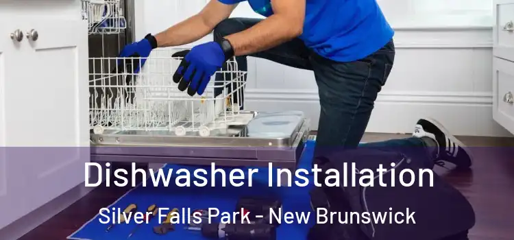 Dishwasher Installation Silver Falls Park - New Brunswick