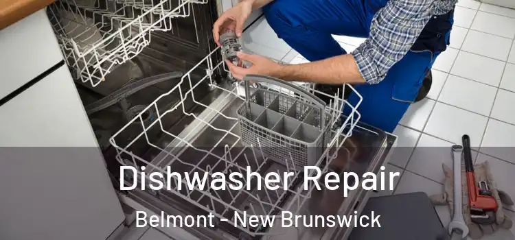 Dishwasher Repair Belmont - New Brunswick