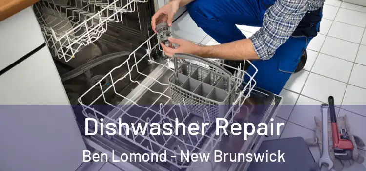 Dishwasher Repair Ben Lomond - New Brunswick
