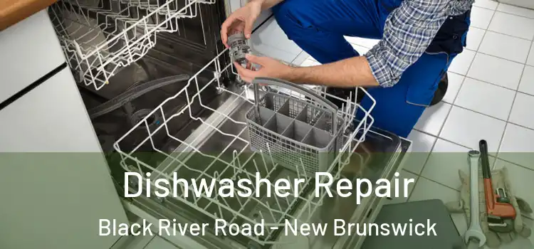 Dishwasher Repair Black River Road - New Brunswick