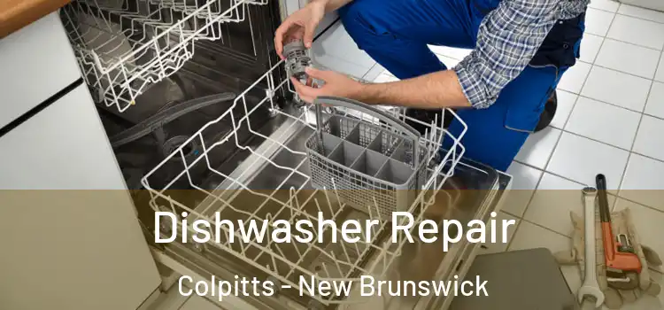Dishwasher Repair Colpitts - New Brunswick