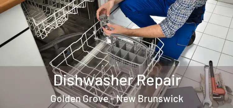 Dishwasher Repair Golden Grove - New Brunswick