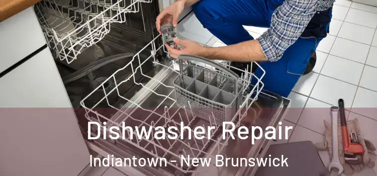 Dishwasher Repair Indiantown - New Brunswick