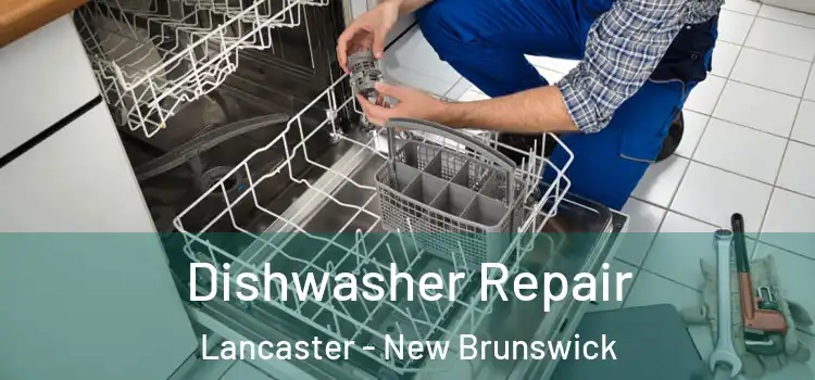 Dishwasher Repair Lancaster - New Brunswick