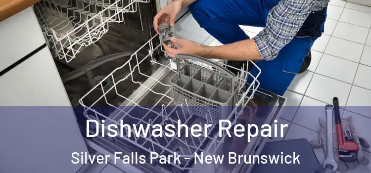 Dishwasher Repair Silver Falls Park - New Brunswick