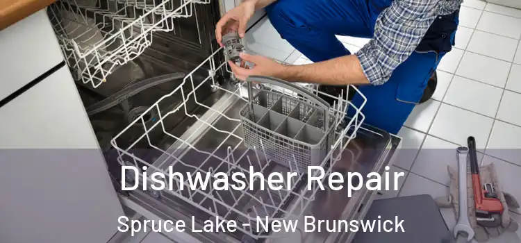 Dishwasher Repair Spruce Lake - New Brunswick