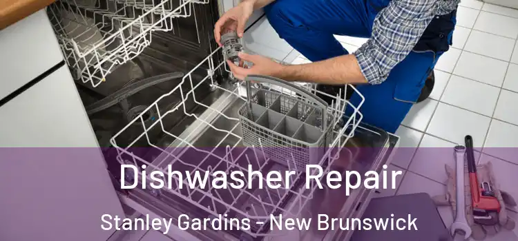 Dishwasher Repair Stanley Gardins - New Brunswick