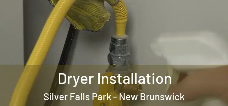 Dryer Installation Silver Falls Park - New Brunswick
