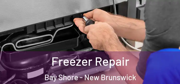 Freezer Repair Bay Shore - New Brunswick