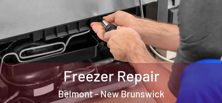 Freezer Repair Belmont - New Brunswick