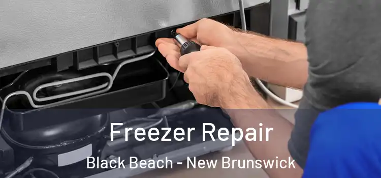 Freezer Repair Black Beach - New Brunswick
