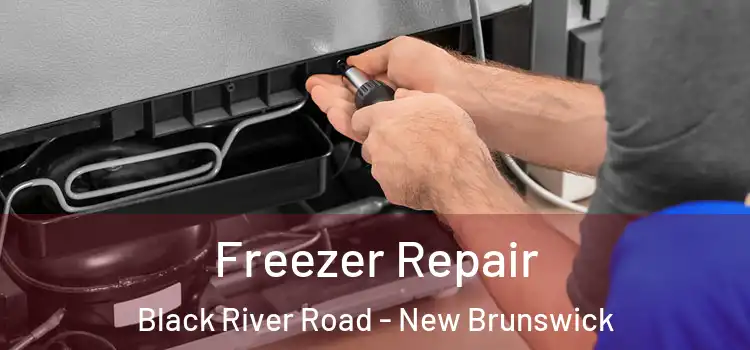 Freezer Repair Black River Road - New Brunswick