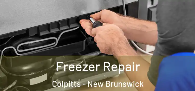 Freezer Repair Colpitts - New Brunswick