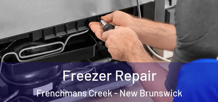 Freezer Repair Frenchmans Creek - New Brunswick