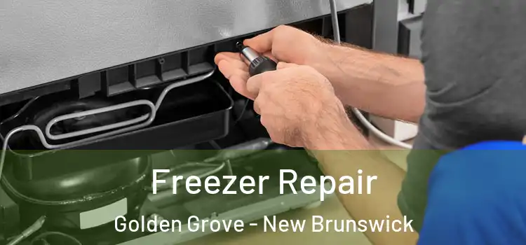 Freezer Repair Golden Grove - New Brunswick
