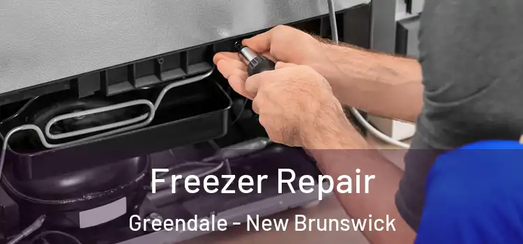 Freezer Repair Greendale - New Brunswick