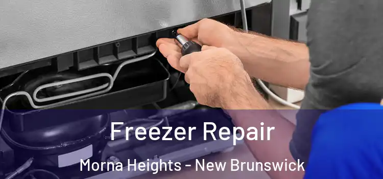Freezer Repair Morna Heights - New Brunswick