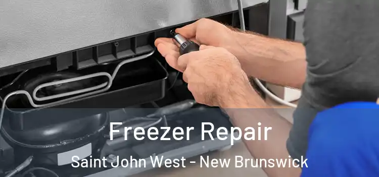 Freezer Repair Saint John West - New Brunswick