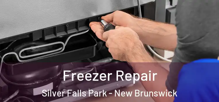 Freezer Repair Silver Falls Park - New Brunswick