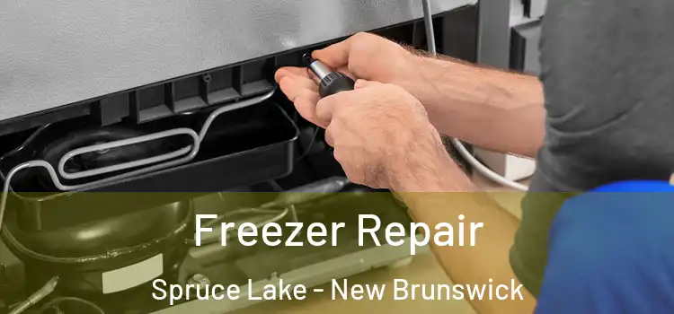 Freezer Repair Spruce Lake - New Brunswick