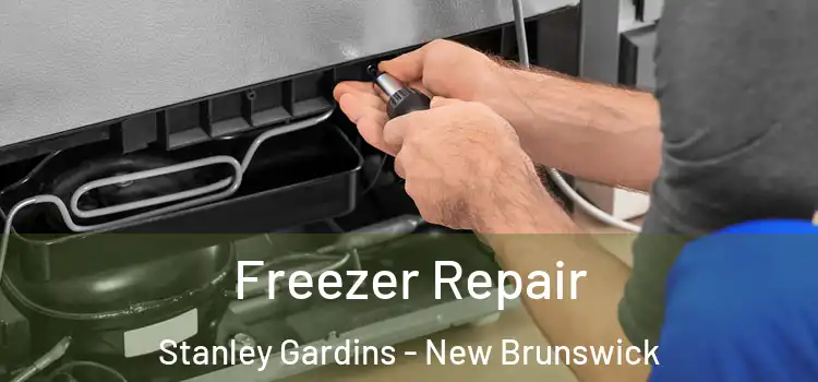 Freezer Repair Stanley Gardins - New Brunswick