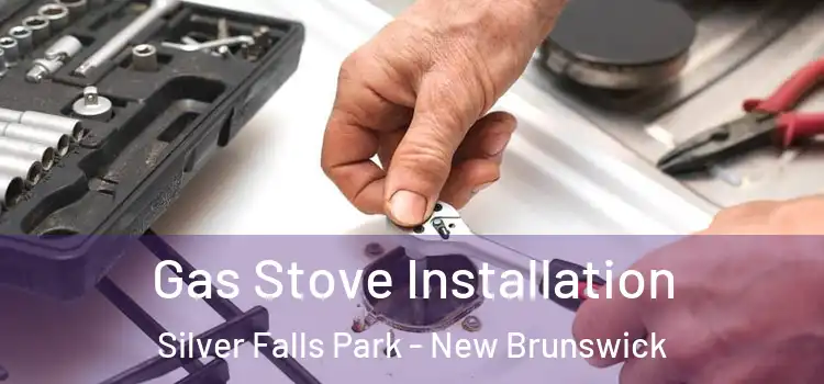 Gas Stove Installation Silver Falls Park - New Brunswick