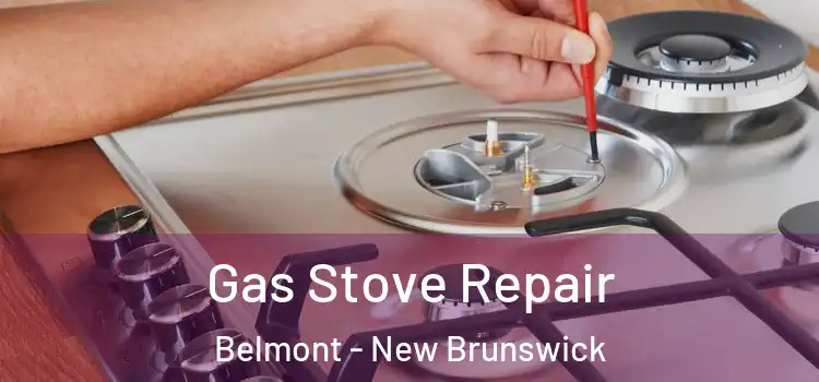 Gas Stove Repair Belmont - New Brunswick