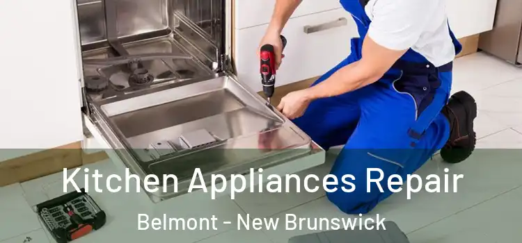 Kitchen Appliances Repair Belmont - New Brunswick