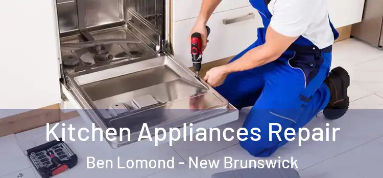 Kitchen Appliances Repair Ben Lomond - New Brunswick