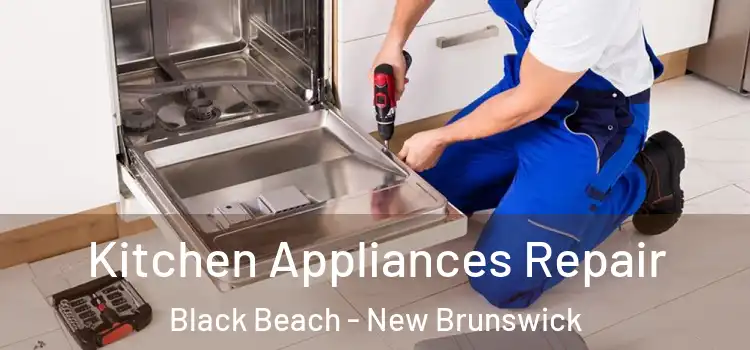 Kitchen Appliances Repair Black Beach - New Brunswick