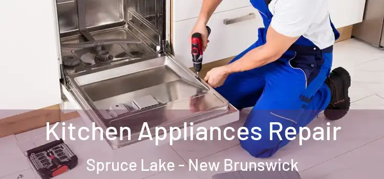 Kitchen Appliances Repair Spruce Lake - New Brunswick