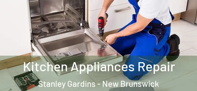 Kitchen Appliances Repair Stanley Gardins - New Brunswick
