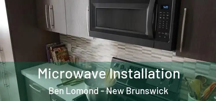 Microwave Installation Ben Lomond - New Brunswick