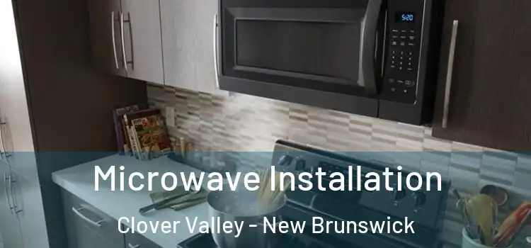 Microwave Installation Clover Valley - New Brunswick