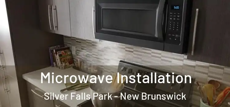 Microwave Installation Silver Falls Park - New Brunswick