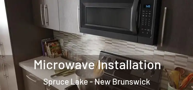 Microwave Installation Spruce Lake - New Brunswick