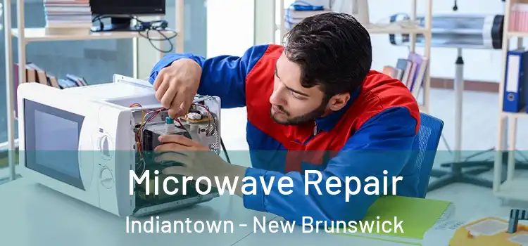 Microwave Repair Indiantown - New Brunswick