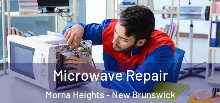 Microwave Repair Morna Heights - New Brunswick