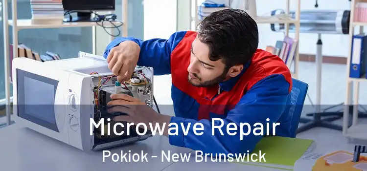 Microwave Repair Pokiok - New Brunswick