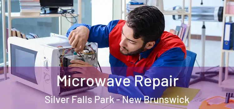 Microwave Repair Silver Falls Park - New Brunswick