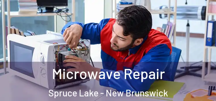 Microwave Repair Spruce Lake - New Brunswick