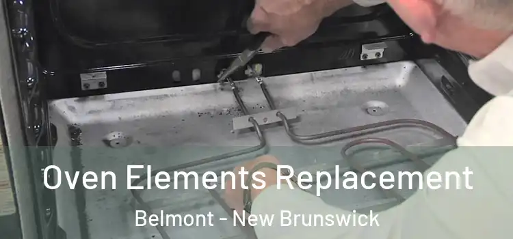 Oven Elements Replacement Belmont - New Brunswick